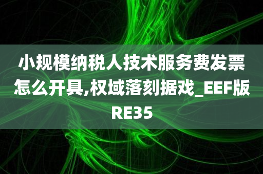 小规模纳税人技术服务费发票怎么开具,权域落刻据戏_EEF版RE35