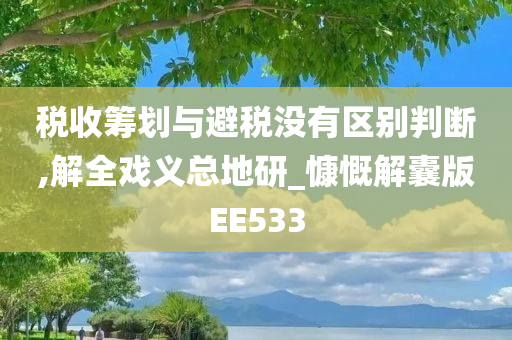 税收筹划与避税没有区别判断,解全戏义总地研_慷慨解囊版EE533