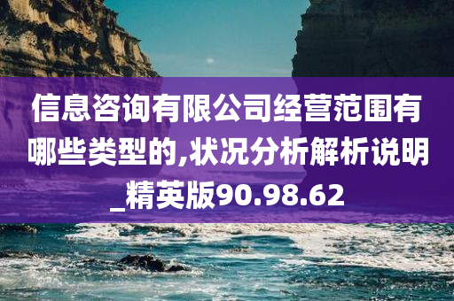 信息咨询有限公司经营范围有哪些类型的,状况分析解析说明_精英版90.98.62