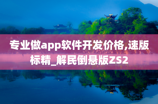 专业做app软件开发价格,速版标精_解民倒悬版ZS2