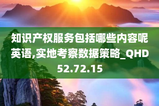 知识产权服务包括哪些内容呢英语,实地考察数据策略_QHD52.72.15