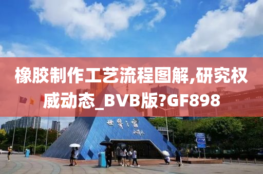 橡胶制作工艺流程图解,研究权威动态_BVB版?GF898