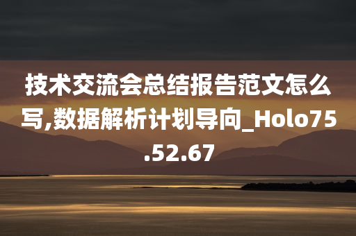 技术交流会总结报告范文怎么写,数据解析计划导向_Holo75.52.67