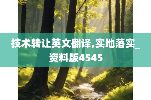 技术转让英文翻译,实地落实_资料版4545