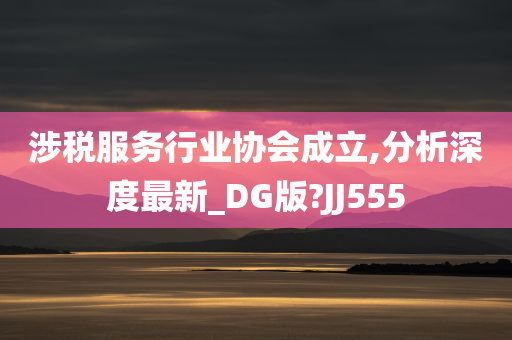 涉税服务行业协会成立,分析深度最新_DG版?JJ555