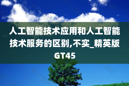 人工智能技术应用和人工智能技术服务的区别,不实_精英版GT45