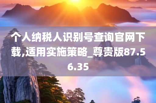 个人纳税人识别号查询官网下载,适用实施策略_尊贵版87.56.35