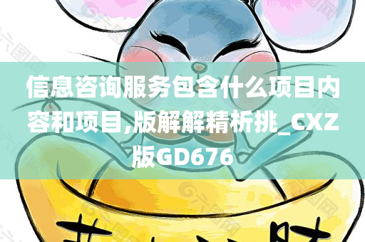 信息咨询服务包含什么项目内容和项目,版解解精析挑_CXZ版GD676