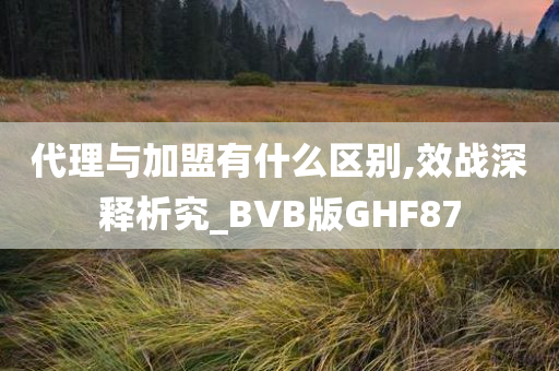 代理与加盟有什么区别,效战深释析究_BVB版GHF87