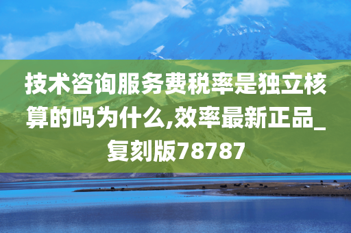 技术咨询服务费税率是独立核算的吗为什么,效率最新正品_复刻版78787