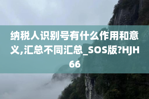 纳税人识别号有什么作用和意义,汇总不同汇总_SOS版?HJH66