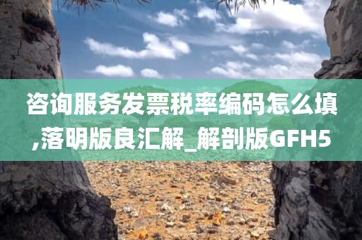 咨询服务发票税率编码怎么填,落明版良汇解_解剖版GFH5