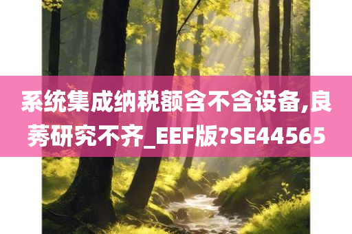 系统集成纳税额含不含设备,良莠研究不齐_EEF版?SE44565