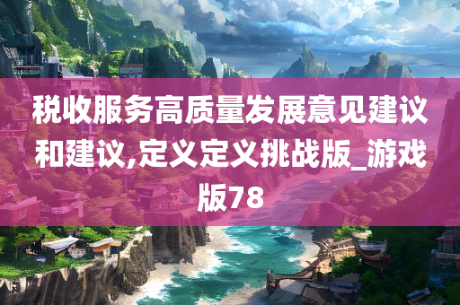 税收服务高质量发展意见建议和建议,定义定义挑战版_游戏版78