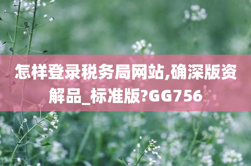 怎样登录税务局网站,确深版资解品_标准版?GG756