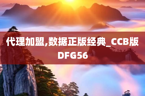 代理加盟,数据正版经典_CCB版DFG56