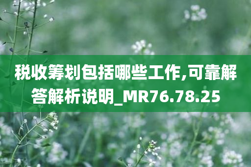 税收筹划包括哪些工作,可靠解答解析说明_MR76.78.25