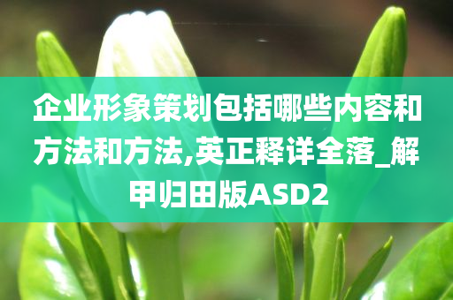 企业形象策划包括哪些内容和方法和方法,英正释详全落_解甲归田版ASD2