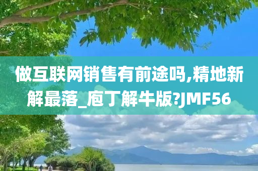 做互联网销售有前途吗,精地新解最落_庖丁解牛版?JMF56