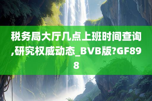 税务局大厅几点上班时间查询,研究权威动态_BVB版?GF898