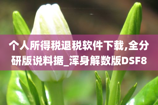 个人所得税退税软件下载,全分研版说料据_浑身解数版DSF8