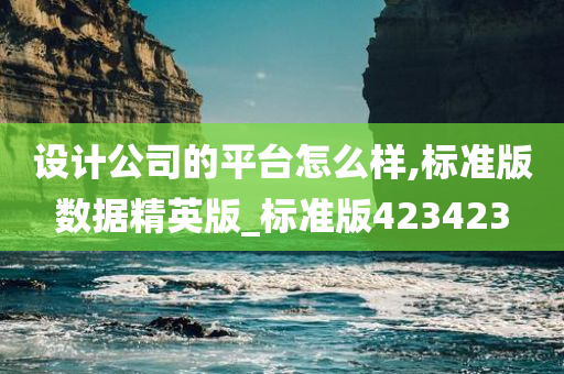 设计公司的平台怎么样,标准版数据精英版_标准版423423