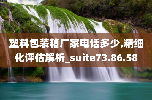 塑料包装箱厂家电话多少,精细化评估解析_suite73.86.58