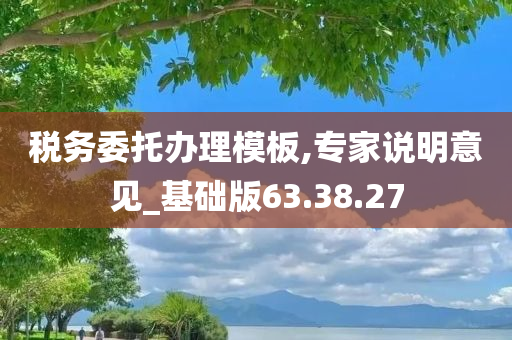 税务委托办理模板,专家说明意见_基础版63.38.27