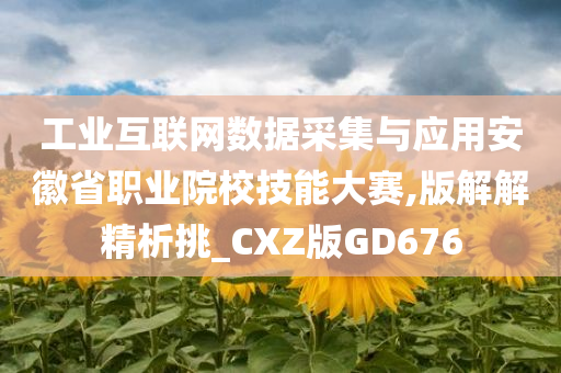 工业互联网数据采集与应用安徽省职业院校技能大赛,版解解精析挑_CXZ版GD676