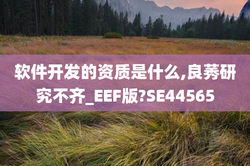 软件开发的资质是什么,良莠研究不齐_EEF版?SE44565