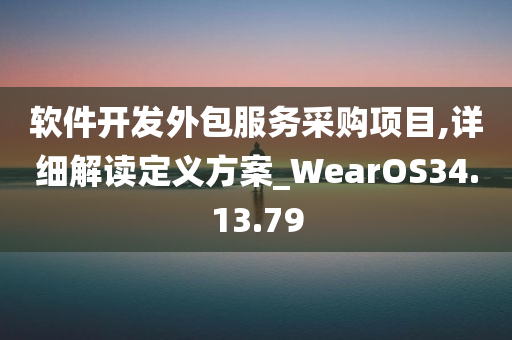 软件开发外包服务采购项目,详细解读定义方案_WearOS34.13.79