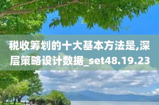 税收筹划的十大基本方法是,深层策略设计数据_set48.19.23