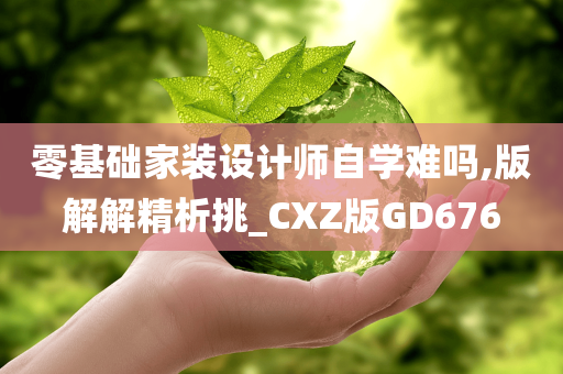 零基础家装设计师自学难吗,版解解精析挑_CXZ版GD676