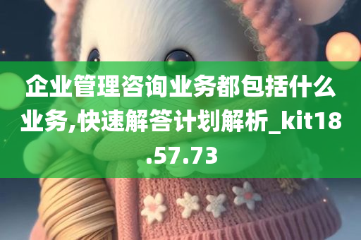 企业管理咨询业务都包括什么业务,快速解答计划解析_kit18.57.73