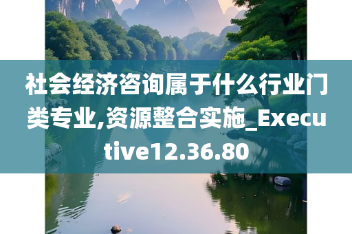 社会经济咨询属于什么行业门类专业,资源整合实施_Executive12.36.80