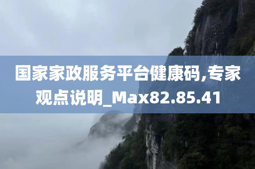 国家家政服务平台健康码,专家观点说明_Max82.85.41