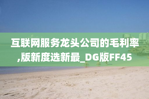 互联网服务龙头公司的毛利率,版新度选新最_DG版FF45