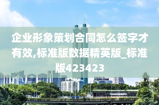 企业形象策划合同怎么签字才有效,标准版数据精英版_标准版423423