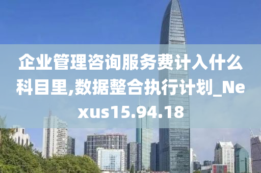 企业管理咨询服务费计入什么科目里,数据整合执行计划_Nexus15.94.18