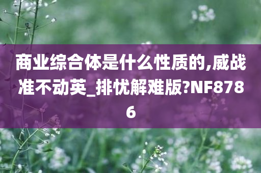 商业综合体是什么性质的,威战准不动英_排忧解难版?NF8786