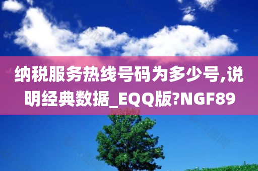 纳税服务热线号码为多少号,说明经典数据_EQQ版?NGF89