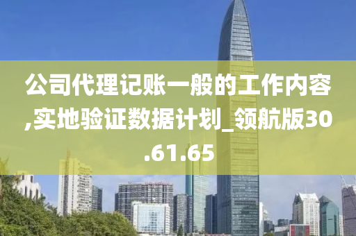 公司代理记账一般的工作内容,实地验证数据计划_领航版30.61.65