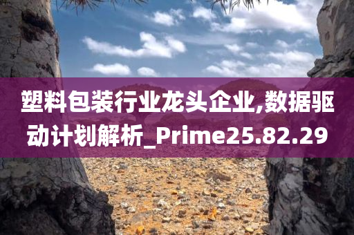 塑料包装行业龙头企业,数据驱动计划解析_Prime25.82.29