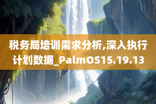 税务局培训需求分析,深入执行计划数据_PalmOS15.19.13