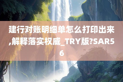 建行对账明细单怎么打印出来,解释落实权威_TRY版?SAR56