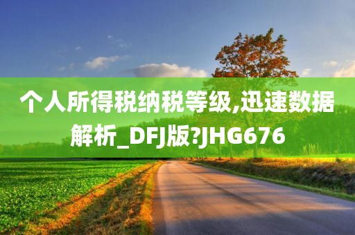 个人所得税纳税等级,迅速数据解析_DFJ版?JHG676