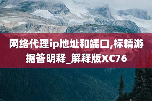 网络代理ip地址和端口,标精游据答明释_解释版XC76