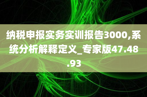 纳税申报实务实训报告3000,系统分析解释定义_专家版47.48.93