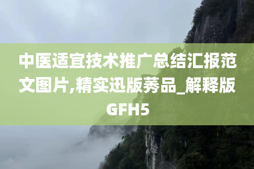 中医适宜技术推广总结汇报范文图片,精实迅版莠品_解释版GFH5