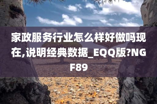 家政服务行业怎么样好做吗现在,说明经典数据_EQQ版?NGF89